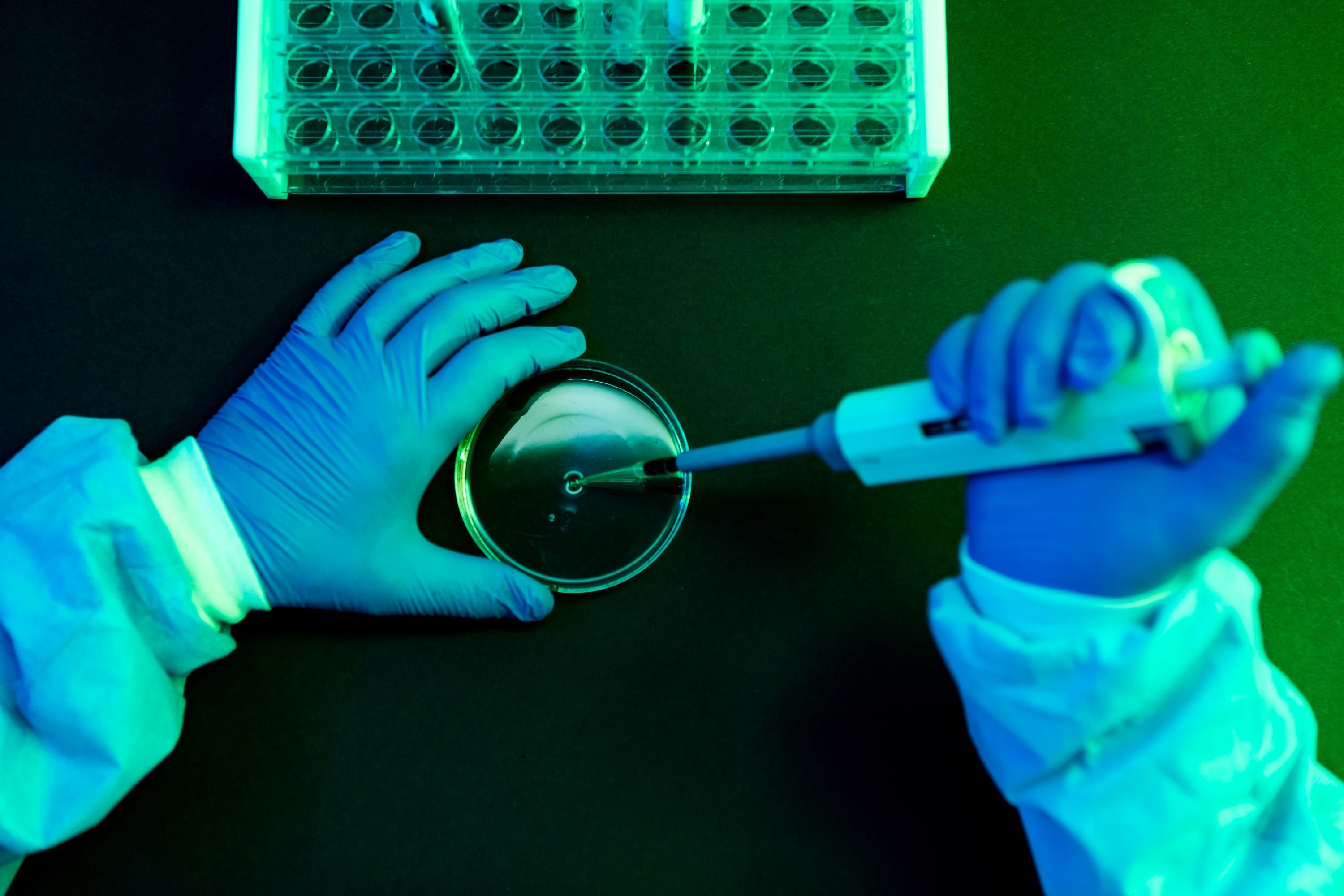 What to Know About Shamonda Virus Following the First Reported Human Infection — Wired, Austin Technology news
