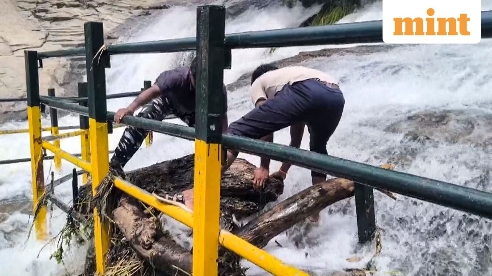 IMD weather today: ‘Red’ alert for heavy rains in Odisha, Kerala, Tamil Nadu as severe cyclonic storm nears Andhra — Mint India, Austin Schools news